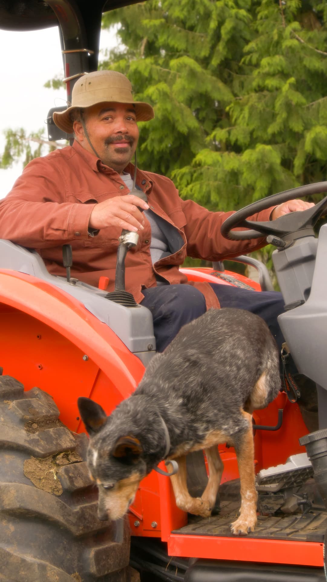 Ed on the tractor with the farm dog riding along